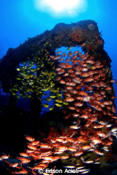 Photo taken in the wreck Pirapama. Recife-PE. by Edson Acioli 